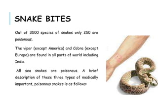 SNAKE BITES
Out of 3500 species of snakes only 250 are
poisonous.
The viper (except America) and Cobra (except
Europe) are found in all parts of world including
India.
All sea snakes are poisonous. A brief
description of these three types of medically
important, poisonous snakes is as follows:
 