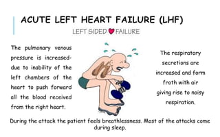 ACUTE LEFT HEART FAILURE (LHF)
The pulmonary venous
pressure is increased-
due to inability of the
left chambers of the
heart to push forward
all the blood received
from the right heart.
During the attack the patient feels breathlessness. Most of the attacks come
during sleep.
The respiratory
secretions are
increased and form
froth with air
giving rise to noisy
respiration.
 