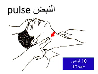 pulse ‫النبض‬
10
‫ثوانى‬
10 sec
 