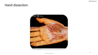 First aid safety ppt about how to do proper first aid treatment | PPTX