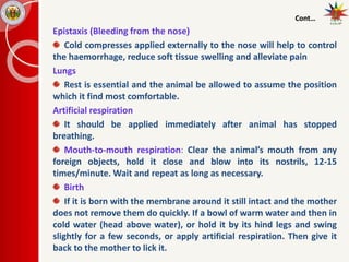 Cont…
Epistaxis (Bleeding from the nose)
Cold compresses applied externally to the nose will help to control
the haemorrhage, reduce soft tissue swelling and alleviate pain
Lungs
Rest is essential and the animal be allowed to assume the position
which it find most comfortable.
Artificial respiration
It should be applied immediately after animal has stopped
breathing.
Mouth-to-mouth respiration: Clear the animal’s mouth from any
foreign objects, hold it close and blow into its nostrils, 12-15
times/minute. Wait and repeat as long as necessary.
Birth
If it is born with the membrane around it still intact and the mother
does not remove them do quickly. If a bowl of warm water and then in
cold water (head above water), or hold it by its hind legs and swing
slightly for a few seconds, or apply artificial respiration. Then give it
back to the mother to lick it.
 