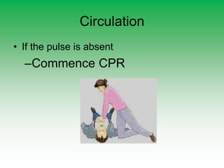 Circulation
• If the pulse is absent
–Commence CPR
 
