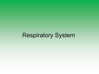 Respiratory System
 