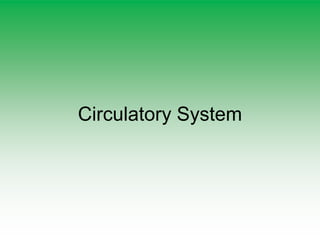 Circulatory System
 