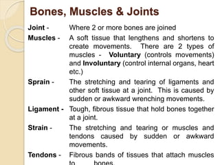Bones, Muscles & Joints 
Joint - Where 2 or more bones are joined 
Muscles - A soft tissue that lengthens and shortens to 
create movements. There are 2 types of 
muscles - Voluntary (controls movements) 
and Involuntary (control internal organs, heart 
etc.) 
Sprain - The stretching and tearing of ligaments and 
other soft tissue at a joint. This is caused by 
sudden or awkward wrenching movements. 
Ligament - Tough, fibrous tissue that hold bones together 
at a joint. 
Strain - The stretching and tearing or muscles and 
tendons caused by sudden or awkward 
movements. 
Tendons - Fibrous bands of tissues that attach muscles 
to bones. 
 
