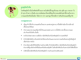 ถูกสุนัขบากัด
โรคพิษสุนัขบาเปนโรคติดตอที่รายแรง พบในสัตวเลี้ยงลูกดวยนม เชน สุนัข แมว กระรอก วัว
มา สุกร คางคาว เปนตน สามารถติดตอมาถึงคนไดโดยน้ําลายของสัตวเหลานี้ผานเขามาทาง
บาดแผลเปดหรือเยื่อเมือก ได้แก่ ตา ปาก และจมูก ซึ่งจะมีอาการคันบริเวณแผลที่ถูกกัด
การปฐมพยาบาล
• เมื่อถูกกัด ใหรีบลางบาดแผลดวยน้ําสะอาด และฟอกสบูหลายๆ ครั้งเพื่อลางเมือกน้ําลายที่อาจมี
เชื้อโรคออกใหหมด
• ทําความสะอาดบาดแผลที่ถูกกัดซ้ําดวยแอลกอฮอล ๗๐% จากนั้นใหทายาฆาเชื้อรอบบาดแผล
เชน ทิงเจอรไอโอดีน เปนตน
• ควรรีบนําสงสถานพยาบาลเพื่อรับการฉีดวัคซีนปองกันโรคพิษสุนัขบาจากแพทยทันที
• ถากักขังสัตวไมได ควรรีบแจงเจาหนาที่หนวยปองกันและบรรเทาสาธารณภัยหรือหนวยกูภัยที่อยูใกล
เพื่อดําเนินการตอไป
• ถาหากติดตามสัตวที่กัดไมไดไมวาจะดวยกรณีใด ก็จําเปนตองไดรับการฉีดวัคซีนปองกันโรคพิษสุนัขบา
สวนกรณีที่ถูกเลียผิวหนังที่ไมมีแผลหรือเพียงแคอุมสัตว ไมตองฉีดวัคซีนปองกันเพราะไมทําใหติดเชื้อโรค
• นําสัตวเลี้ยงไปฉีดวัคซีนปองกันโรคพิษสุนัขบา ตามคําแนะนําของสัตวแพทย
 