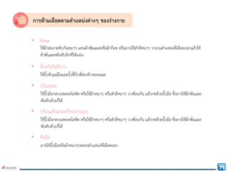 การหามเลือดตามตําแหนงตางๆ ของรางกาย
• ศีรษะ
ใชผาสะอาดทับกันหนาๆ แทนผาพันแผลหรือผากอซ หรืออาจใชสําลีหนาๆ วางบนตําแหนงที่เลือดออกแลวใช
ผาพันแผลพันทับอีกทีใหแนน
• ลิ้นหรือริมฝปาก
ใชนิ้วหัวแมมือและนิ้วชี้บีบที่สองขางของแผล
• บริเวณคอ
ใชนิ้วมือกดบนหลอดโลหิต หรือใชผาหนาๆ หรือสําลีหนาๆ วางซอนกัน แลวกดดวยนิ้วมือ ซึ่งอาจใชผาพันแผล
พันทับดวยก็ได
• บริเวณตนแขนหรือปลายแขน
ใชนิ้วมือกดบนหลอดโลหิต หรือใชผาหนาๆ หรือสําลีหนาๆ วางซอนกัน แลวกดดวยนิ้วมือ ซึ่งอาจใชผาพันแผล
พันทับดวยก็ได
• ขอมือ
อาจใชนิ้วมือหรือผาหนาๆกดตรงตําแหนงที่เลือดออก
 