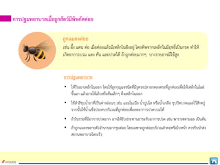 การปฐมพยาบาลเมื่อถูกสัตวมีพิษกัดตอย
ถูกแมลงตอย
เชน ผึ้ง แตน ตอ เมื่อตอยแลวมีเหล็กในฝงอยู โดยพิษจากเหล็กในมีฤทธิ์เปนกรด ทําให
เกิดอาการบวม แดง คัน และปวดได ถาถูกตอยมากๆ บางรายอาจมีไขสูง
• ใหรีบเอาเหล็กในออก โดยใชลูกกุญแจชนิดที่มีรูตรงปลายกดลงตรงที่ถูกตอยเพื่อใหเหล็กในโผล
ขึ้นมา แลวอาจใชเล็บหรือคีมเล็กๆ ดึงเหล็กในออก
• ใชสําลีชุบน้ํายาที่เปนดางออนๆ เชน แอมโมเนีย น้ําปูนใส หรือน้ําเกลือ ชุบปดบาดแผลไวสักครู
จากนั้นใชน้ําแข็งประคบบริเวณที่ถูกตอยเพื่อลดอาการปวดบวมได
• ถาในรายที่มีอาการปวดมาก อาจใหรับประทานยาระงับอาการปวด เชน พาราเซตามอล เปนตน
• ถาถูกแมลงหลายตัวจํานวนมากรุมตอย โดยเฉพาะถูกตอยบริเวณลําคอหรือใบหนา ควรรีบนําสง
สถานพยาบาลโดยเร็ว
การปฐมพยาบาล
 