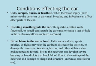 Conditions effecting the ear
• Cuts, scrapes, burns, or frostbite. When there's an injury (even
minor) to the outer ear or ear canal, bleeding and infection can affect
other parts of the ear.
• Inserting something into the ear. Things like a cotton swab,
fingernail, or pencil can scratch the ear canal or cause a tear or hole
in the eardrum (called a ruptured eardrum).
• Direct blows to the ear or head. Falls, car accidents, sports
injuries, or fights may tear the eardrum, dislocate the ossicles, or
damage the inner ear. Wrestlers, boxers, and other athletes who
endure repeated forceful hits to the outer ear can develop severe
bruising or blood clots that block blood flow to the cartilage of the
outer ear and damage its shape and structure (known as cauliflower
ear).
 