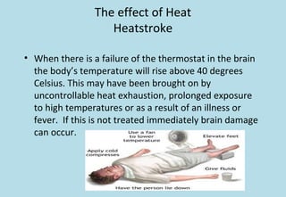 The effect of Heat
Heatstroke
• When there is a failure of the thermostat in the brain
the body’s temperature will rise above 40 degrees
Celsius. This may have been brought on by
uncontrollable heat exhaustion, prolonged exposure
to high temperatures or as a result of an illness or
fever. If this is not treated immediately brain damage
can occur.
 