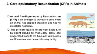 FIRST AID AND EMERGENCY RESPONSE IN ANIMALS PDF.pdf