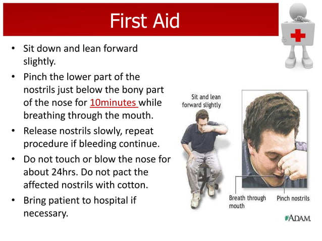 First aid & bandaging | PDF