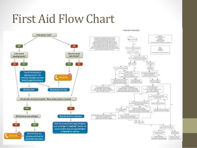 First Aid Procedure Flow Chart