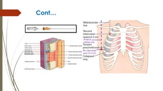 Cont…
Fifth intercostal
space (3.4 cm)
Anterior
axillary line
(4.3 cm)
 