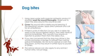 Dog bites
1. Using clean water (with soap/an antiseptic product if
possible) wash the wound thoroughly. Make sure to
clean the area around the wound as well.
2. Cover the wound with a sterile wound dressing. If
the bleeding is severe, apply direct pressure and call
for an ambulance.
3. If there is a risk of infection (i.e you are in a rabies risk
area) or the wound appear serious, then seek medical
advice immediately. The casualty may require an
injection to protect them from the rabies virus.
 If you are concerned that the dog may still be in the
vicinity and poses a danger to yourself then call the
police immediately. Do not try to capture or calm the
dog down, as this may result in further injury to yourself
or others.
 The advice above can also apply to any animal /
human bites, not just dogs.
 