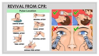 Revive Cpr FIRST AID & cpr techniques.pptx for school | PPTX