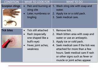 Scorpion stings  Pain and burning at
sting site
 Later, numbness or
tingling
1. Wash sting site with soap and
water.
2. Apply ice or a cold pack.
3. Seek medical care.
Tick bites  Tick still attached
 Rash (especially
one shaped like a
bull’s-eye)
 Fever, joint aches,
weakness
1. Remove tick.
2. Wash bitten area with soap and
water or use an antiseptic.
3. Apply ice or cold pack.
4. Seek medical care if the tick was
attached for more than a few
hours. Seek medical care if rash
or other signs such as fever or
muscle or joint aches appear.
CONDITION WHAT TO LOOK FOR WHAT TO DO
 