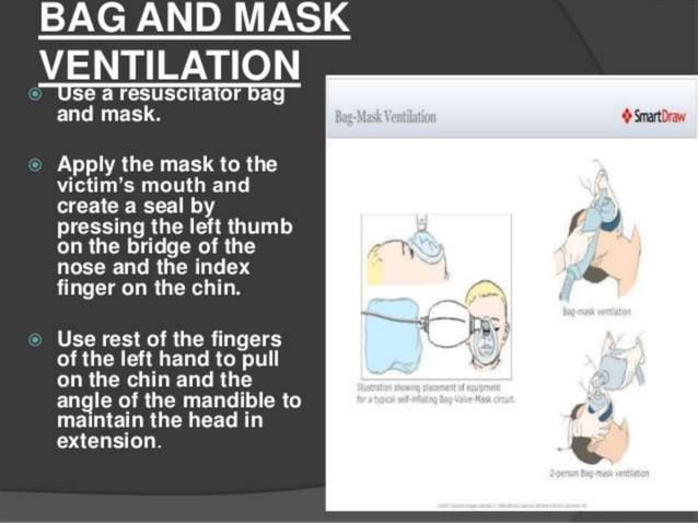 FIRST AID AND CPR | PPTX | First Aid | Injuries