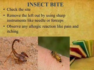 INSECT BITE
• Check the site
• Remove the left out by using sharp
instruments like needle or forceps
• Observe any allergic reaction like pain and
itching
 
