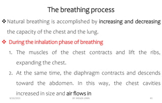 The breathing process
8/26/2023 BY: MEAZA LEMA 43
Natural breathing is accomplished by increasing and decreasing
the capacity of the chest and the lung.
 During the inhalation phase of breathing
1. The muscles of the chest contracts and lift the ribs,
expanding the chest.
2. At the same time, the diaphragm contracts and descends
toward the abdomen. In this way, the chest cavities
increased in size and air flows in
 