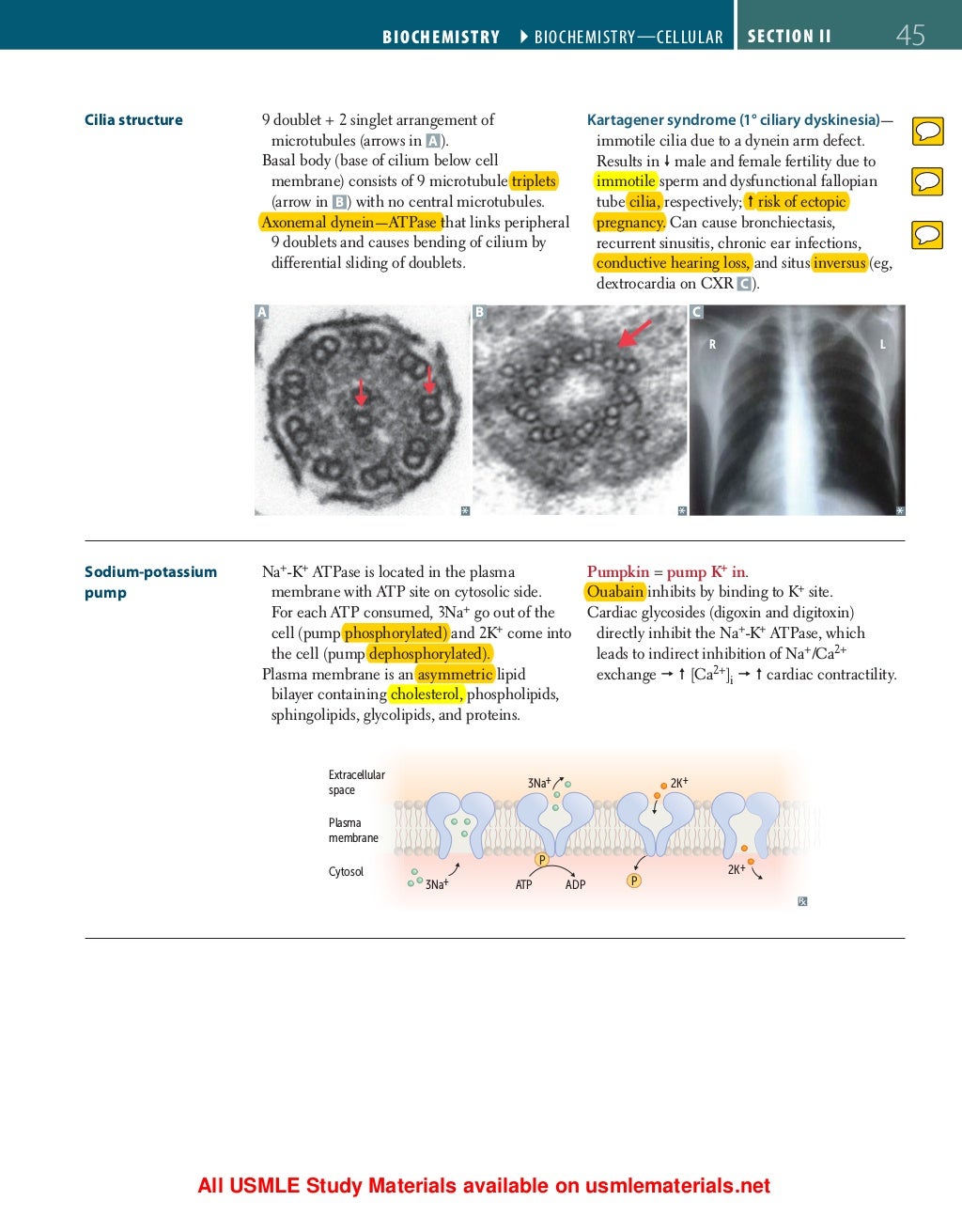 First aid for usmle step 1 with uworld and nbme notes sample