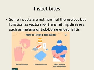 Insect bites
• Some insects are not harmful themselves but
function as vectors for transmitting diseases
such as malaria o...