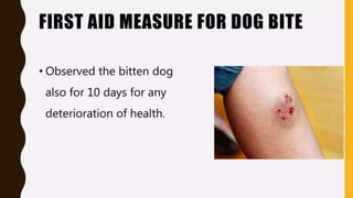 First Aid in Sting and Bites or snake bite | PPTX