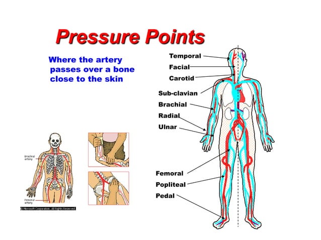 First aid lesson carrying | PPTX