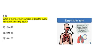 Q 62
What is the “normal” number of breaths every
minute in a healthy adult?
A) 12 to 20
B) 20 to 35
C) 35 to 60
 