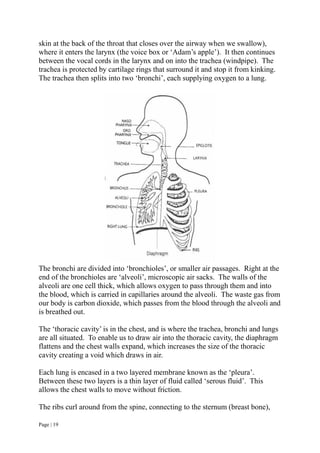 Page | 19
skin at the back of the throat that closes over the airway when we swallow),
where it enters the larynx (the voice box or ‘Adam’s apple’). It then continues
between the vocal cords in the larynx and on into the trachea (windpipe). The
trachea is protected by cartilage rings that surround it and stop it from kinking.
The trachea then splits into two ‘bronchi’, each supplying oxygen to a lung.
The bronchi are divided into ‘bronchioles’, or smaller air passages. Right at the
end of the bronchioles are ‘alveoli’, microscopic air sacks. The walls of the
alveoli are one cell thick, which allows oxygen to pass through them and into
the blood, which is carried in capillaries around the alveoli. The waste gas from
our body is carbon dioxide, which passes from the blood through the alveoli and
is breathed out.
The ‘thoracic cavity’ is in the chest, and is where the trachea, bronchi and lungs
are all situated. To enable us to draw air into the thoracic cavity, the diaphragm
flattens and the chest walls expand, which increases the size of the thoracic
cavity creating a void which draws in air.
Each lung is encased in a two layered membrane known as the ‘pleura’.
Between these two layers is a thin layer of fluid called ‘serous fluid’. This
allows the chest walls to move without friction.
The ribs curl around from the spine, connecting to the sternum (breast bone),
 
