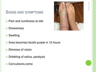 SIGNS AND SYMPTOMS
 Pain and numbness at site
 Drowsiness
 Swelling
 Area becomes bluish purple in 12 hours
 Dimness of vision
 Dribbling of saliva, paralysis
 Convulsions,coma
 