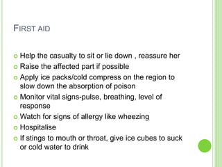 FIRST AID
 Help the casualty to sit or lie down , reassure her
 Raise the affected part if possible
 Apply ice packs/cold compress on the region to
slow down the absorption of poison
 Monitor vital signs-pulse, breathing, level of
response
 Watch for signs of allergy like wheezing
 Hospitalise
 If stings to mouth or throat, give ice cubes to suck
or cold water to drink
 