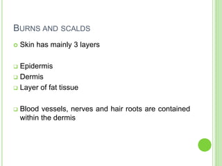 BURNS AND SCALDS
 Skin has mainly 3 layers
 Epidermis
 Dermis
 Layer of fat tissue
 Blood vessels, nerves and hair roots are contained
within the dermis
 