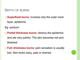 DEPTH OF BURNS
 Superficial burns: involves only the outer most
layer, epidermis
Eg: sunburn
 Partial thickness burns: destroy the epidermis
and are very painful. The skin becomes red and
blistered
 Full- thickness burns: pain sensation is usually
lost. Skin looks waxy, pale or charred.
 