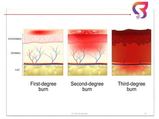 Dr. Sushma Kaushal 12
 