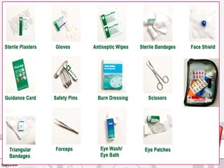 Asra Hameed (trainee at CDL)
 