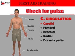 FIRST AID TRAINING
C. CIRCULATION
• Carotid
• Femoral
• Brachial
• Radial
• Dorsalis pedis
Carotid
Brachial
Femoral
Radial
Dorsalis pedis
 