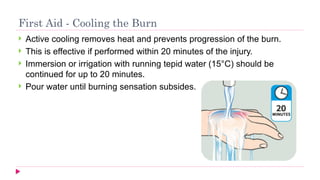 First Aid & Primary Management of Burns.pptx