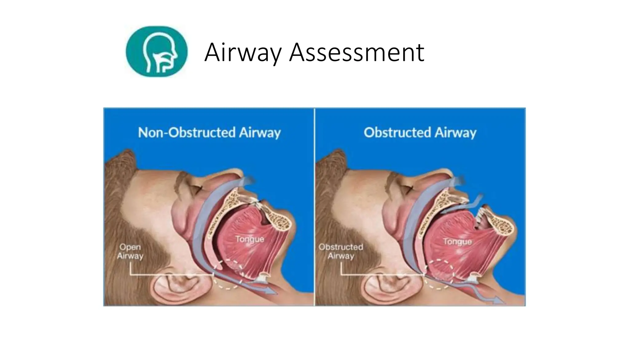 First Air Principles First Aid Principles.pptx