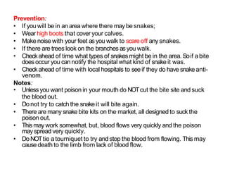 Prevention:
• If you will be in an area where there may be snakes;
• Wear high boots that cover your calves.
• Make noise with your feet asyou walk to scare off any snakes.
• If there are trees look on the branches asyou walk.
• Checkahead of time what types of snakesmight be in the area. Soif abite
doesoccur you cannotify the hospital what kind of snake it was.
• Checkahead of time with local hospitals to seeif they do have snakeanti-
venom.
Notes:
• Unless you want poison in your mouth do NOTcut the bite site and suck
the blood out.
• Do not try to catch the snakeit will bite again.
• There are many snakebite kits on the market, all designed to suck the
poison out.
• This may work somewhat, but, blood flows very quickly and the poison
may spread very quickly.
• Do NOTtie atourniquet to try and stop the blood from flowing. This may
cause death to the limb from lack of blood flow.
 