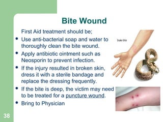 Forebite First Aid First Aid Training HSE Presentation .ppt