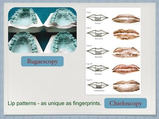 Rugaescopy
ChieloscopyLip patterns - as unique as fingerprints.
 