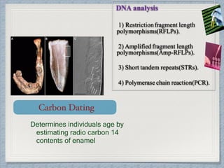 DNA analysis
1) Restrictionfragment length
polymorphisms(RFLPs).
2) Amplified fragment length
polymorphisms(Amp-RFLPs).
3) Short tandem repeats(STRs).
4) Polymerase chain reaction(PCR).
Carbon Dating
Determines individuals age by
estimating radio carbon 14
contents of enamel
 