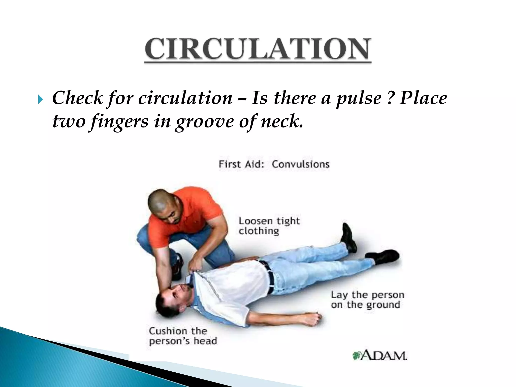  Check for circulation – Is there a pulse ? Place
two fingers in groove of neck.
 