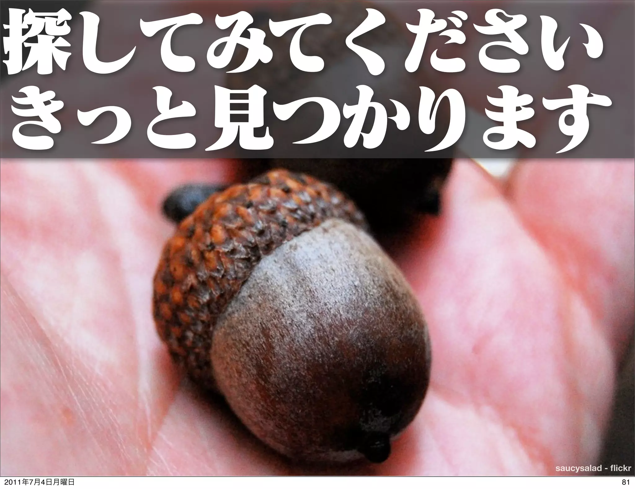 saucysalad - ﬂickr
2011   7   4                  81
 