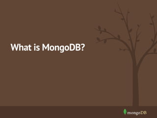 What is MongoDB? 
 
