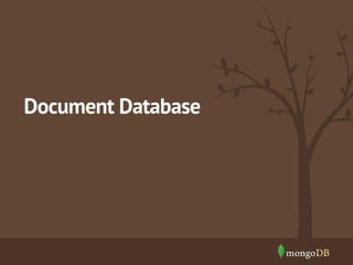 Document Database 
 