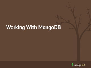 Working With MongoDB 
 