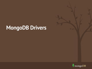 MongoDB Drivers 
 