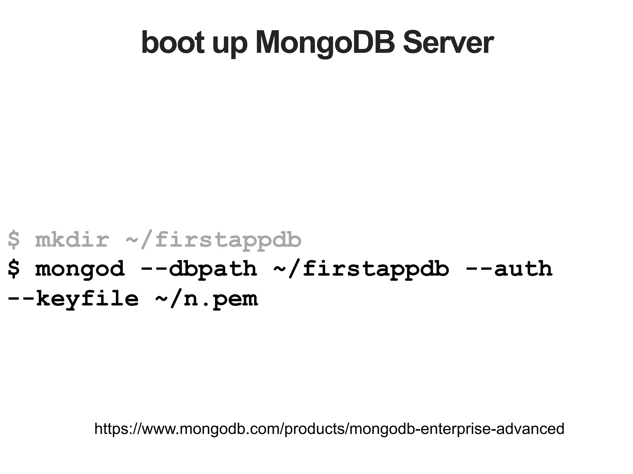 boot up MongoDB Server $ mkdir ~/firstappdb $ mongod --dbpath ~/firstappdb --auth --keyfile ~/n.pem https://www.mongodb.com/products/mongodb-enterprise-advanced 